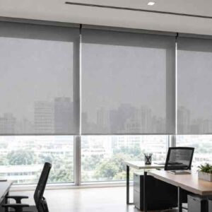 Cortinas Roller Screen 10%